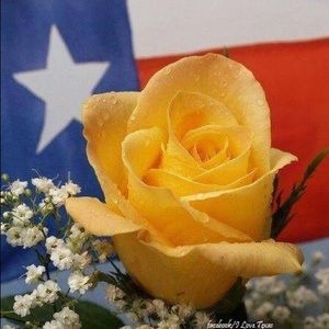 Meet your Posher, Kay